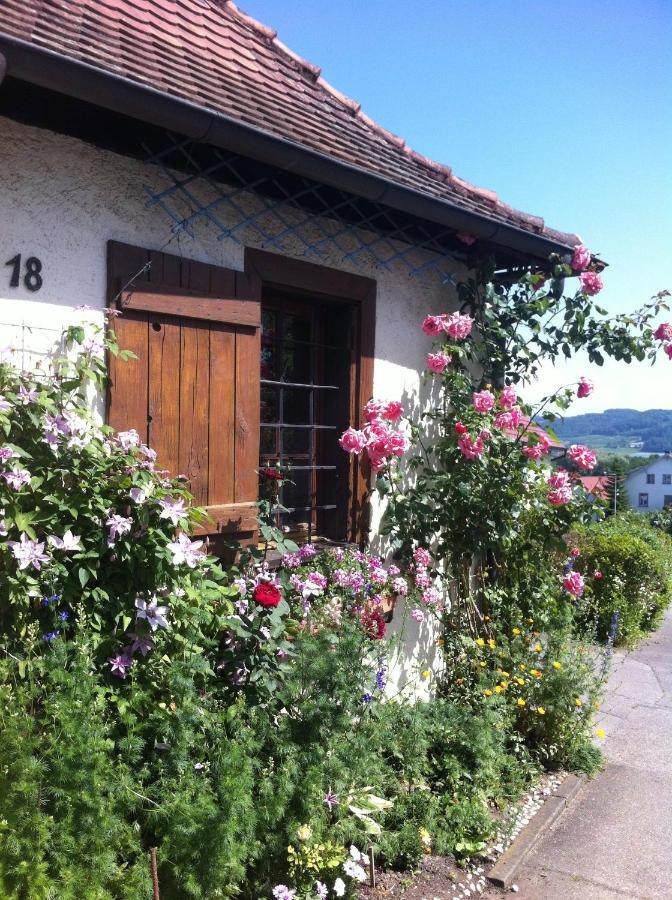 Micro-Apartment In Seenaehe Fusslaeufig Zum See:)) 외닝겐 외부 사진